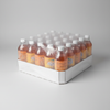 Freshéa 15 Cases Studio
