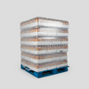 Freshéa Full Pallet Studio